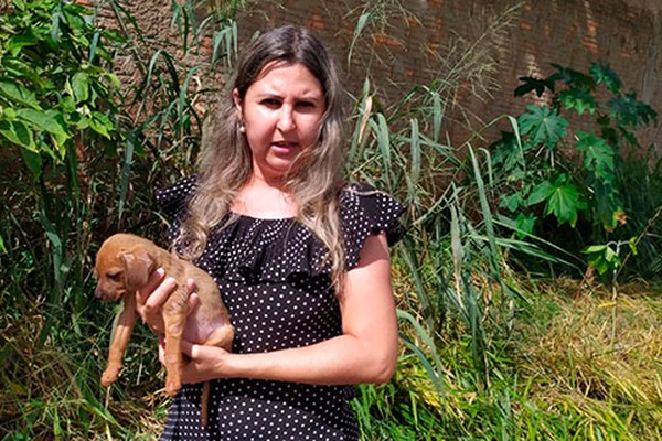 Moradora faz apelo para que filhotes de cães abandonados sejam adotados em Patos de Minas