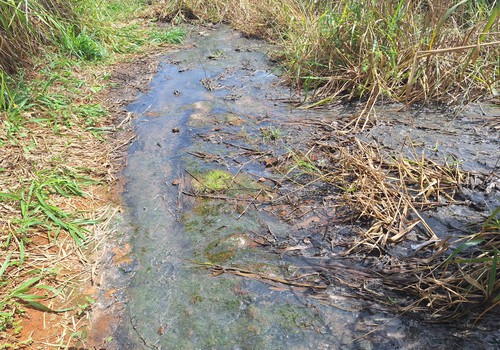 PC indicia Copasa por crime ambiental após vazamento de esgoto em área de preservação em Araxá