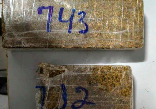 Motorista de aplicativo é preso com drogas e diz que vendia para complementar renda