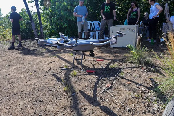 Tecnologias para mapear florestas tropicais favorecem transição verde