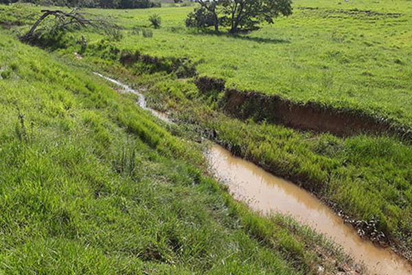 Diagnóstico mostra danos em 71 nascentes do Córrego que abastece o distrito de Bonsucesso