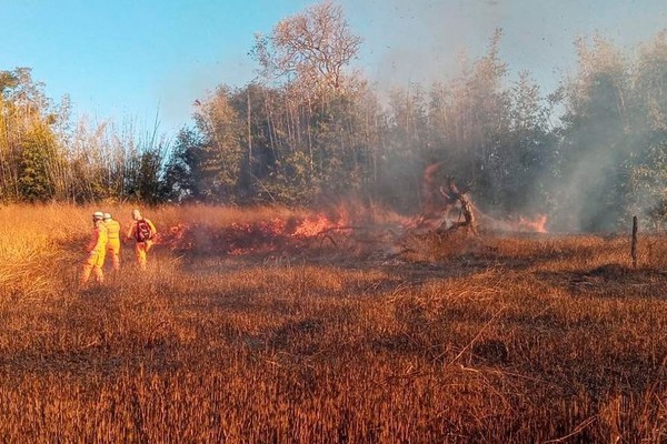 Corpo de Bombeiros divulga orientações de como evitar incêndios em área urbana e rural