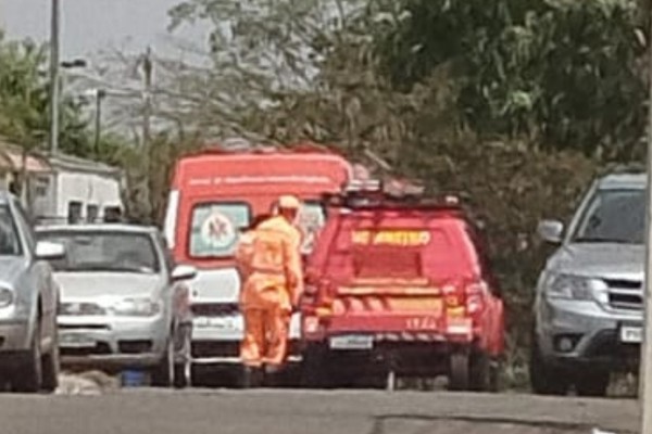 Ataque de cães da raça pitbull deixa casal ferido em Patos de Minas; animais foram levados pro Centro de Zoonoses