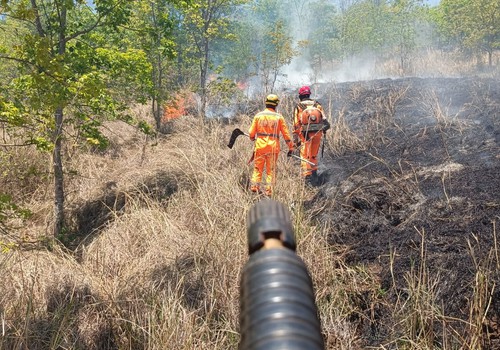 Bombeiros passam o dia combatendo incêndio que ameaçou residências na zona rural de Lagoa Formosa