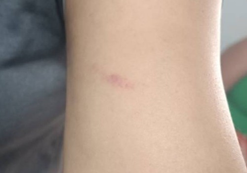 Briga em frente a escola termina com três pessoas detidas por lesão corporal em Patos de Minas