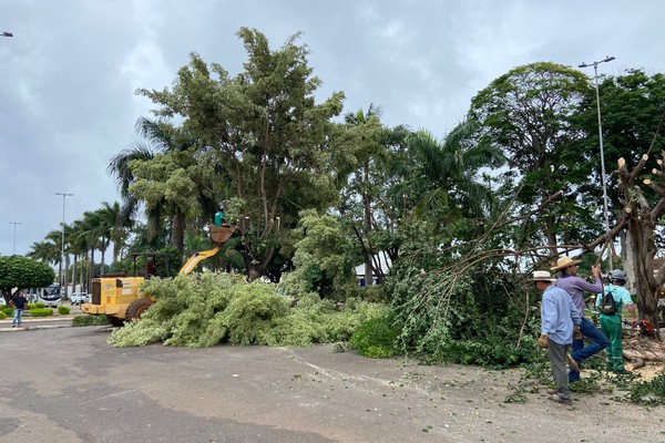 Prefeitura faz poda em árvores no Galpão do Produtor e revolta caminhoneiros