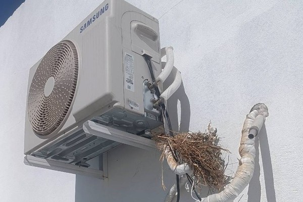 Homem é flagrado tentando furtar canos de cobre de ar condicionado da Associação Esperança Azul