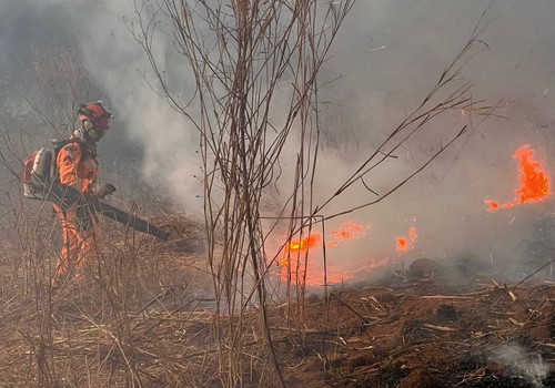 Queimada atinge a parte alta da cidade e destrói mais de 80 hectares de vegetação