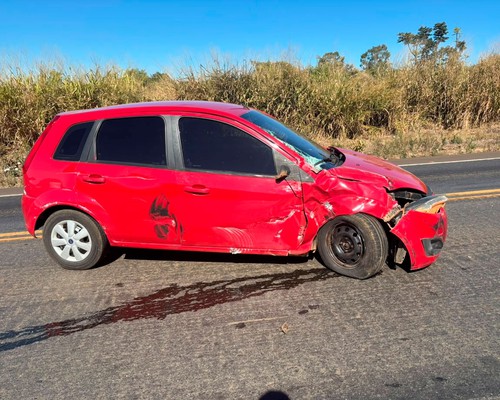 Após acidente em 3ª faixa, caminhão tenta frear e despeja vísceras de animais na BR 365
