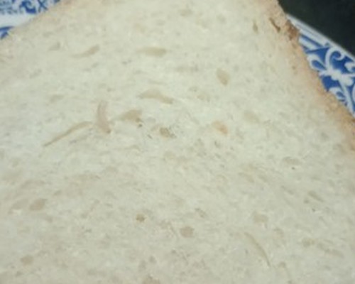 Moradora encontra larvas em pão de forma comprado em hipermercado de Patos de Minas