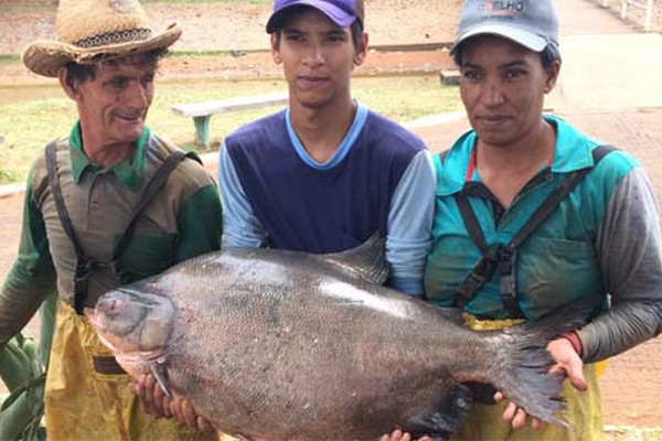 Despesca na Lagoa Grande revela surpresas e a captura de um peixe quase 30 quilos de