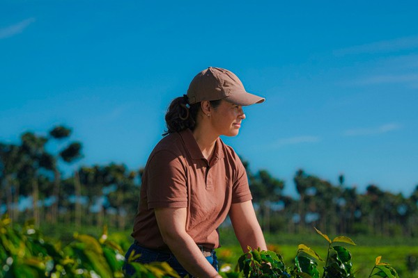 14º Prêmio Café do Cerrado terá nova modalidade para valorizar práticas regenerativas na cafeicultura