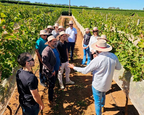 Da xícara à taça: visita sensorial da Casa Bruxel oferece cafés; vinhos e sabores do Cerrado; veja