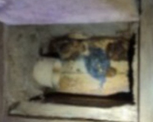 PM encontra droga em caixa de esgoto e prende homem por tráfico de drogas em Patos de Minas