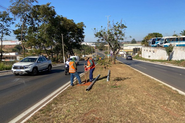 Após diversos acidentes fatais, radares começam a ser instalados na Avenida JK
