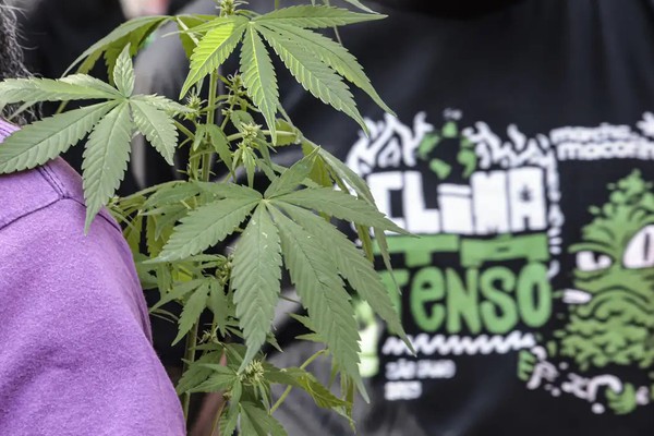 Flagrante por drogas gera mais prisão preventiva do que outros crimes