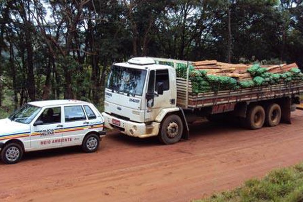 PM de Meio Ambiente apreende caminhão com 450 estacas de madeira ilegal