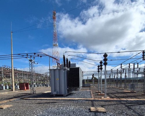 Curto-circuito provocado por pássaro deixa diversos bairros sem energia em Patos de Minas