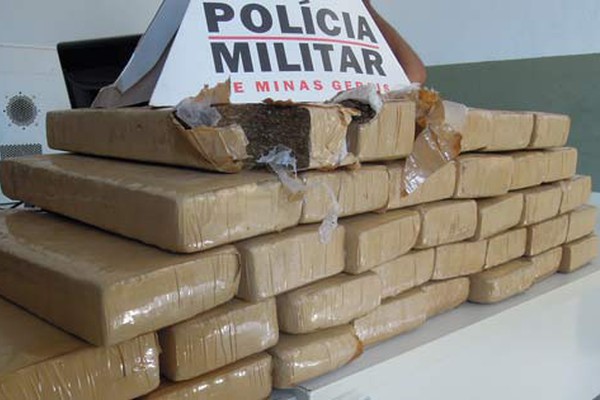 Apreensão de droga em cafezal na região de Baixadinha chega a 36 quilos de maconha