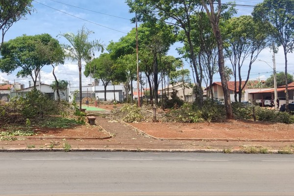Cortes e podas de árvores em praça pública de Patos de Minas vira caso de polícia