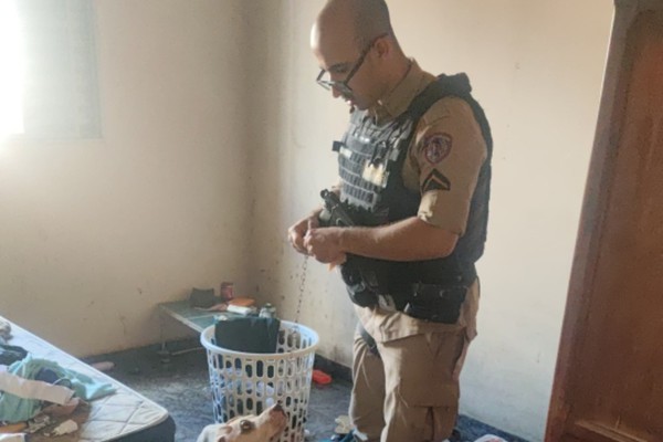 Cadela pitbull com oito filhotes são resgatados abandonados, sem água ou comida, em Rio Paranaíba