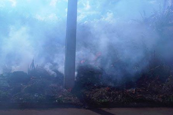 Queimada em Praça do Bairro Nova Floresta incomoda e deixa moradores irritados