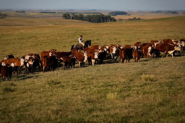 PIB cresce 1,4% no primeiro trimestre de 2025