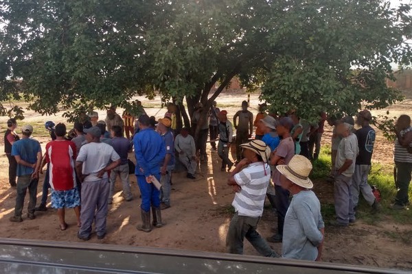 Ministério Público do trabalho resgata 66 Trabalhadores em carvoaria de Minas Gerais