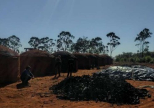 PM Ambiental apreende 50 metros cúbicos de carvão, suspende atividade e lavra multa de mais de R$ 30 mil