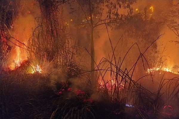 Homem provoca incêndio em Área de Preservação Permanente e mobiliza Bombeiros em Patos de Minas