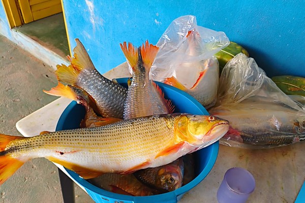 Após denúncia anônima, polícia apreende redes e 10kg de peixes em Lagoa Grande