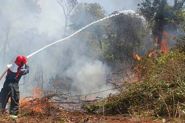 Bombeiros tentam controlar fogo que destrói a Mata do Catingueiro
