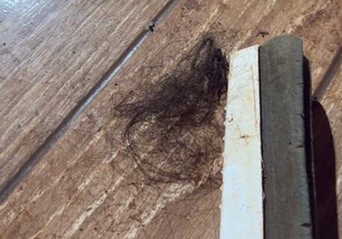 Mulher é atropelada duas vezes, espancada e tem tufos de cabelo arrancados pelo marido que acabou preso