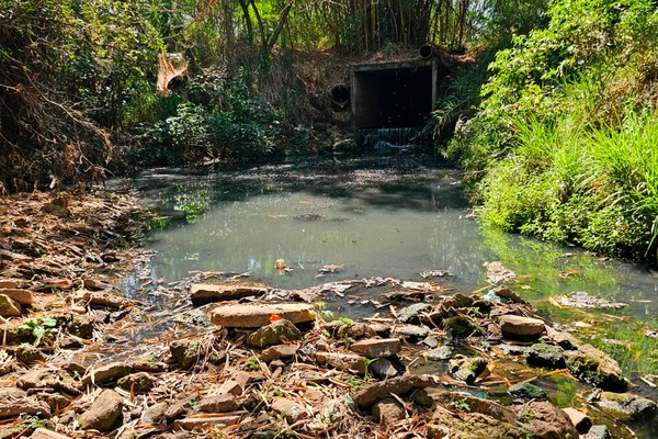 Após reclamação de moradores, Patos Hoje descobre córrego tomado por esgoto em Patos de Minas
