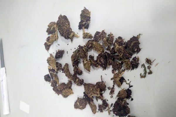 Operação em bar e outros imóveis no Alto da Colina prende 4 e apreende drogas