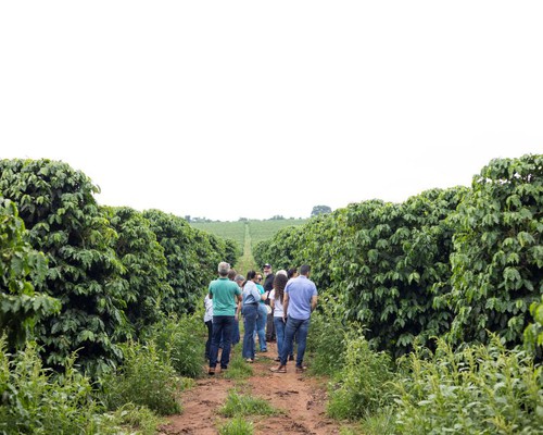 Empreendedores criam associação para fortalecer a Rota do Café do Cerrado Mineiro e impulsionar o turismo