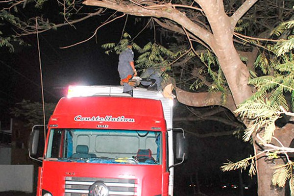 Bombeiros têm que podar árvore após caminhão baú ficar preso em galho na Afonso Queiroz