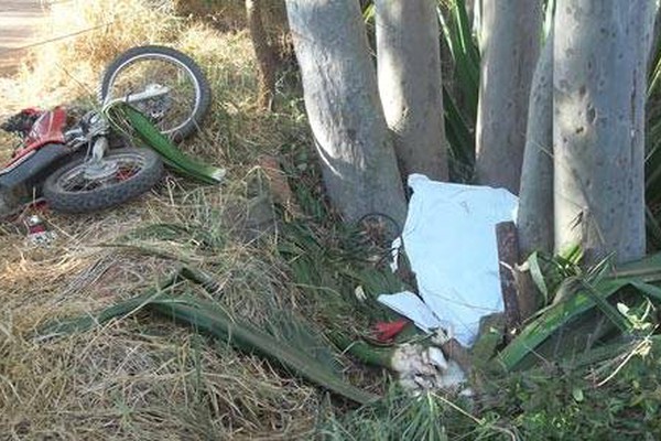 Motocicleta bate em eucalipto na saída de Pilar e casal morre na hora