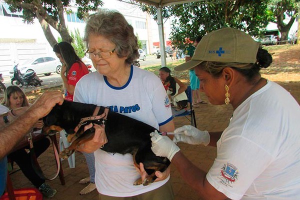 Vacinação contra a raiva em cães e gatos começa no sábado em Patos de Minas; veja os locais