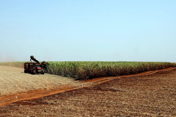 IBGE prevê safra recorde de 346 milhões de toneladas em 2025