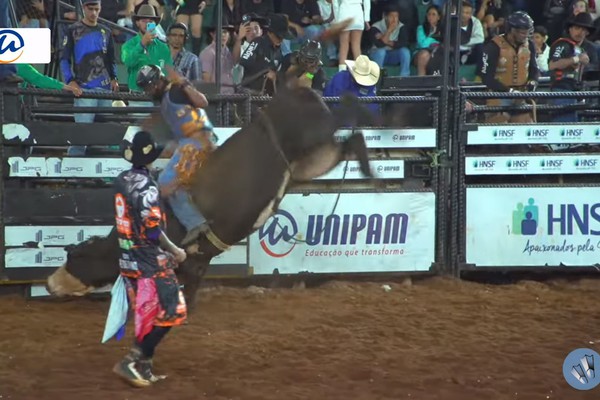 Touro pula rodando, mas peão se segura até o fim e salta do lombo do animal agradecendo; veja ao vivo
