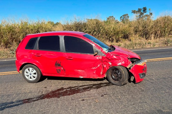 Após acidente em 3ª faixa, caminhão tenta frear e despeja vísceras de animais na BR 365
