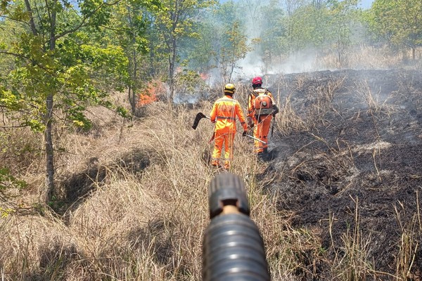 Bombeiros passam o dia combatendo incêndio que ameaçou residências na zona rural de Lagoa Formosa
