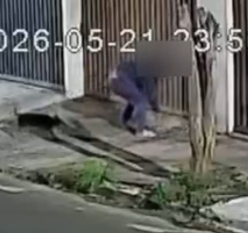 Polícia Civil indicia homem por maus-tratos após agredir cão com chineladas em Araxá; veja vídeo