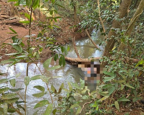PC conclui que homem encontrado morto em córrego foi assassinado; namorada e amiga são indiciadas
