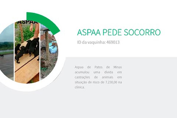 ASPAA inicia vaquinha online para arcar com custo de castração e pede ajuda da população em Patos de Minas