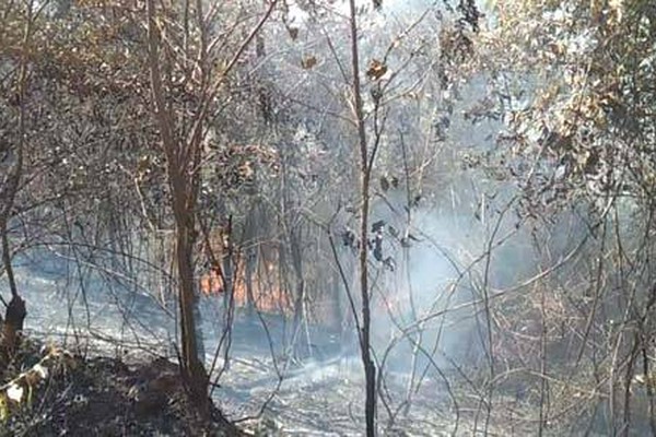 Fazenda Experimental da Epamig sofre destruição em queimada criminosa