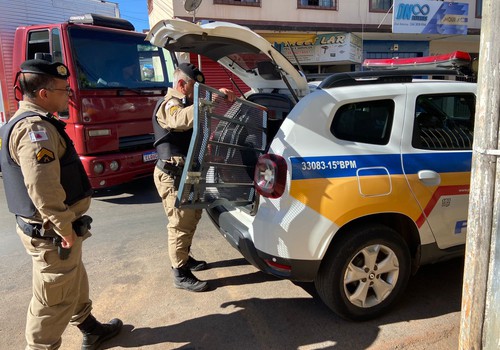 Homem com tornozeleira eletrônica é preso por furto de celular em Patos de Minas