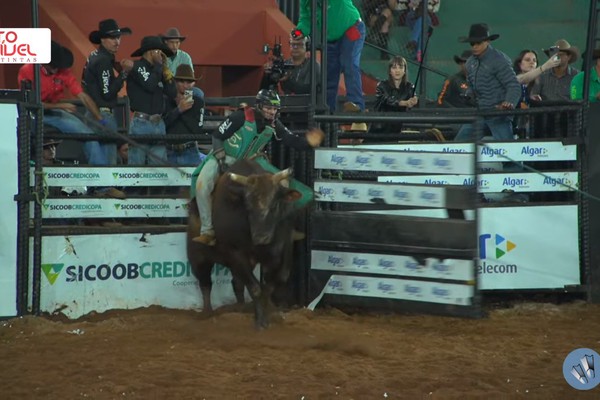 Touro pula na contramão, peão se concentra duro e supera os 8 segundos; veja ao vivo