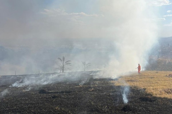 Corpo de Bombeiros combate diversos incêndios em vegetações e orienta população
